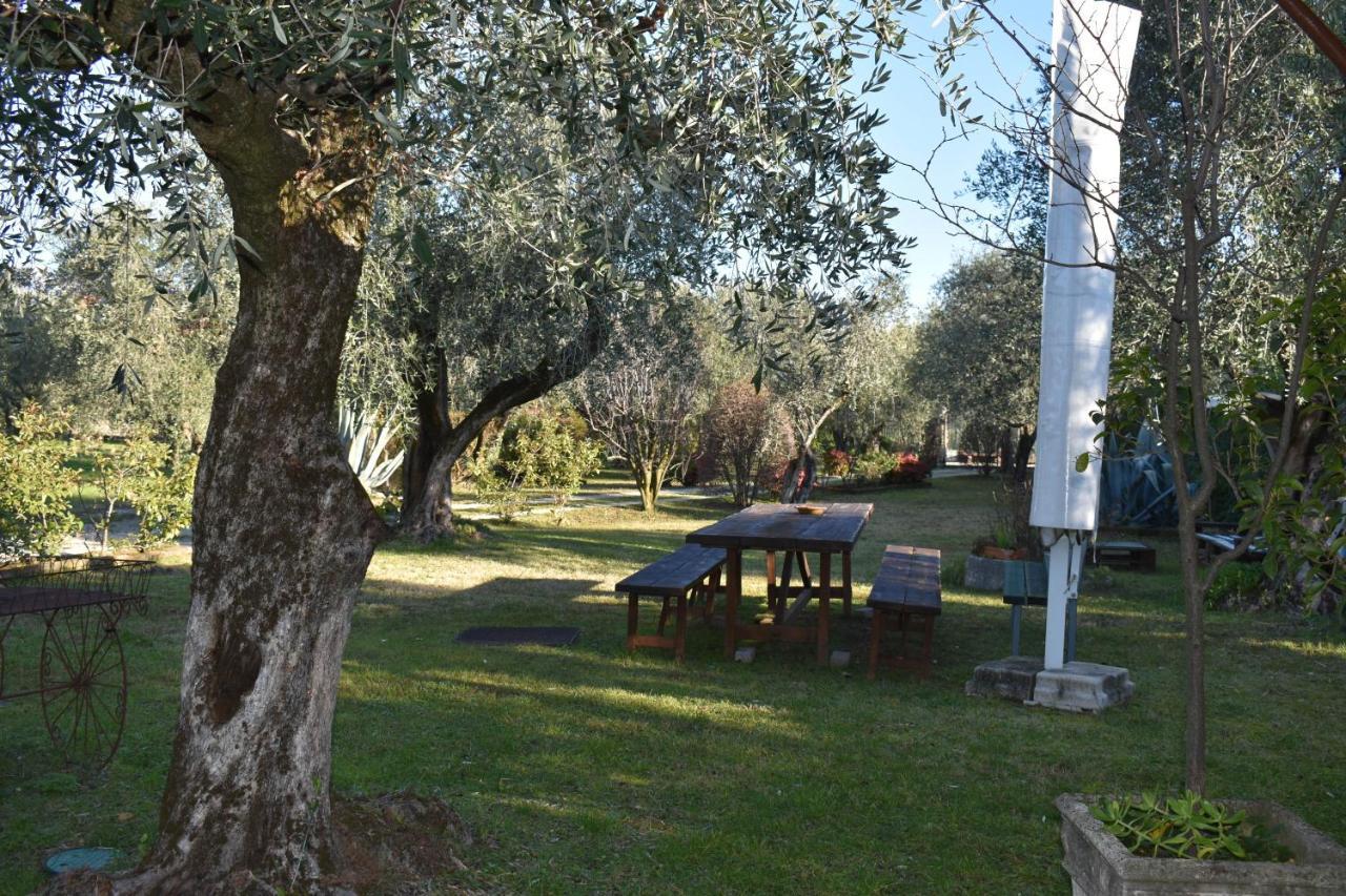 Montinelle Casa Ulivoヴィラ エクステリア 写真